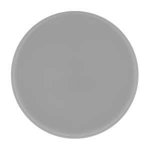 MESA® MAGNUM SOLARE