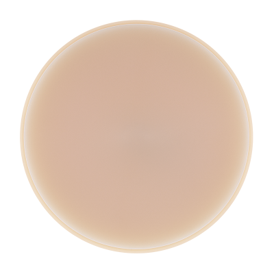 dds PMMA multi-layered