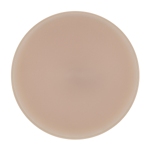 PEEK Blank®