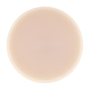 dds PMMA color